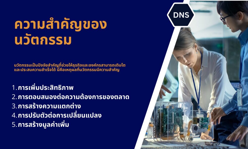 DNS Business.peck-รูปภาพ-5