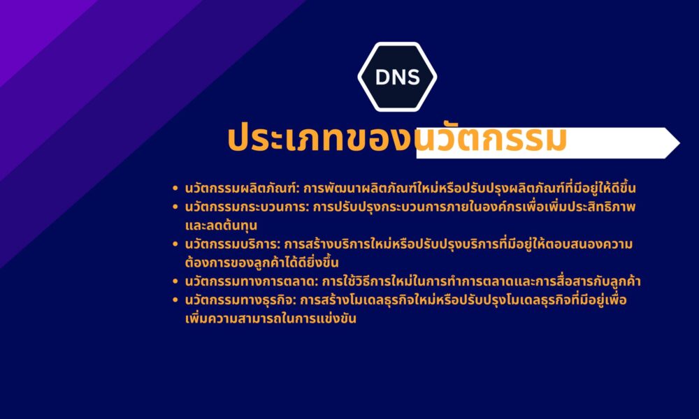 DNS Business.peck-รูปภาพ-6